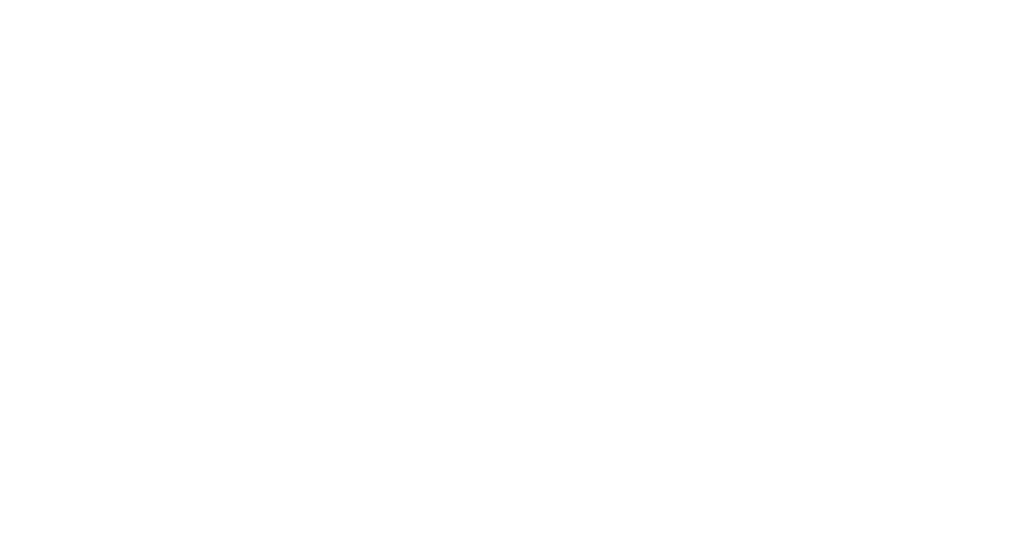Werbeagentur Plauen